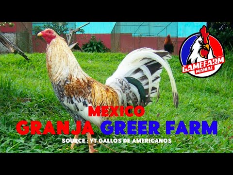 GRANJA GREER FARM | MEXICO