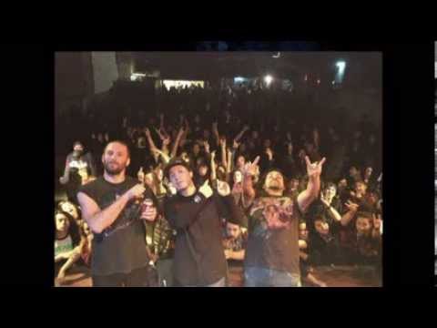 el mani tostado - los mox