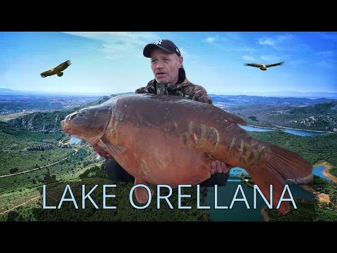 Some of the Largest Fish in Spain! Extremadura Carp Fishing Tours , Nov-Feb. BOOK NOW!