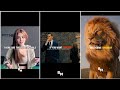 Billionaire Motivation Compilation Sigma Rule Motivational Videos
