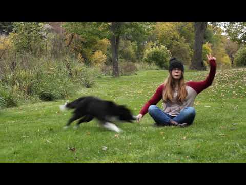 Love Me Again [Live - Autumn Trick Video]