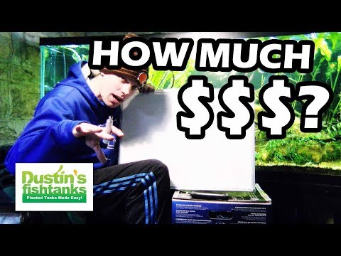 download lagu mp3 mp4 Fish Tank Cost Calculator, download lagu Fish Tank Cost Calculator gratis, unduh video klip Fish Tank Cost Calculator
