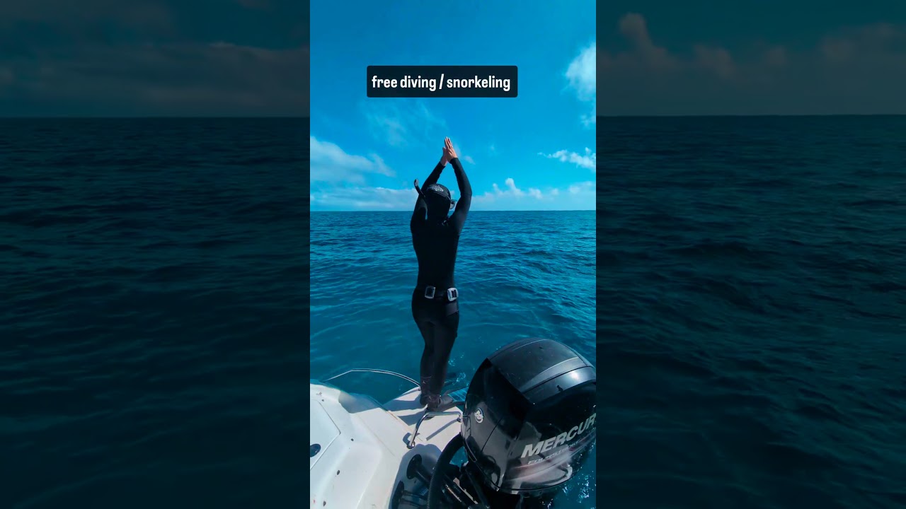 what type of fins are best for #snorkeling?