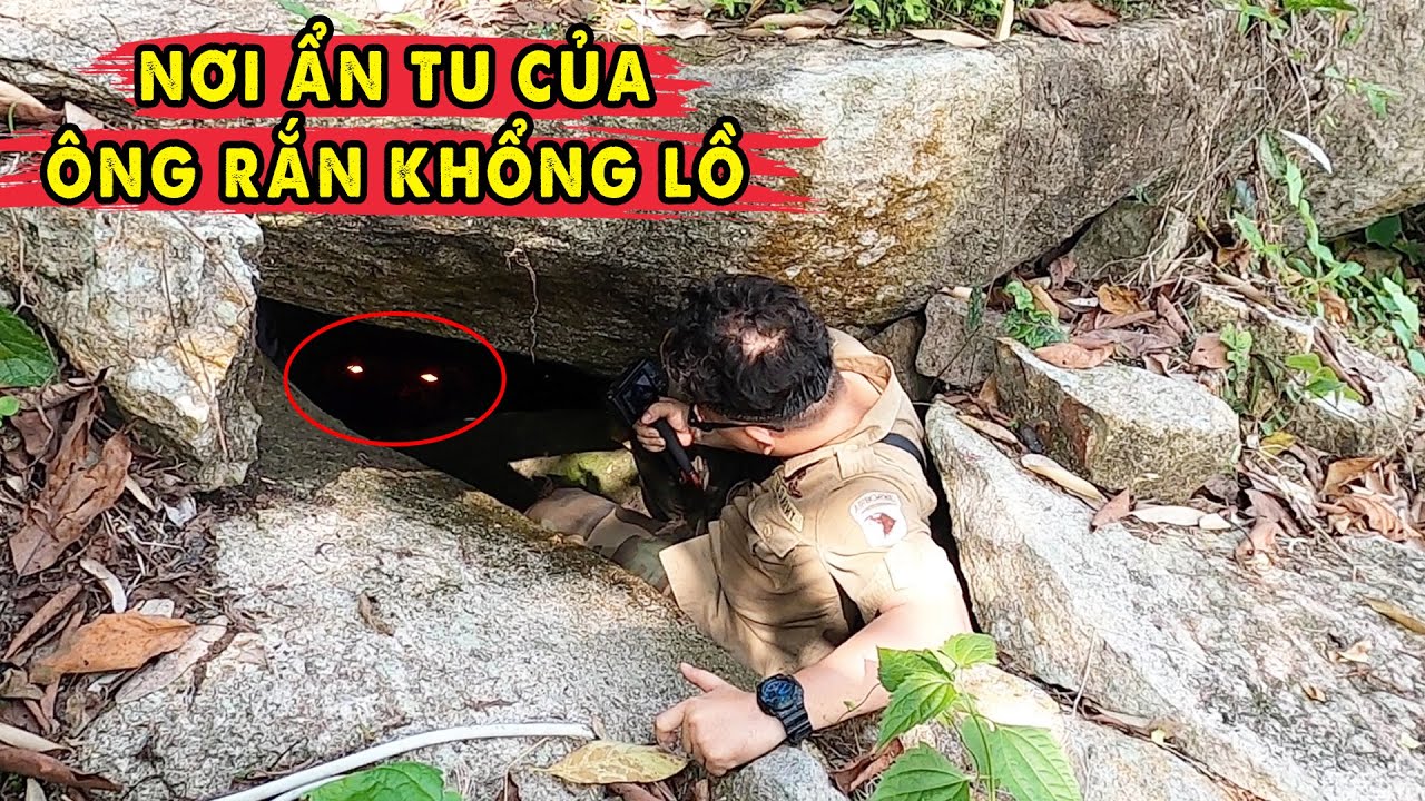 Tìm đến nơi Ẩn Tu của Rắn Khổng Lồ Thất Sơn - P1