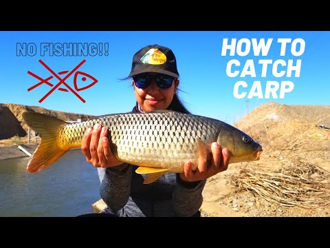 Girl Catches Big Fish! | We Got Kicked Out! | Canal Carp Fishing | How to Catch Carp