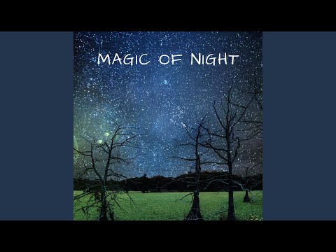 I Think She Won't Come Back