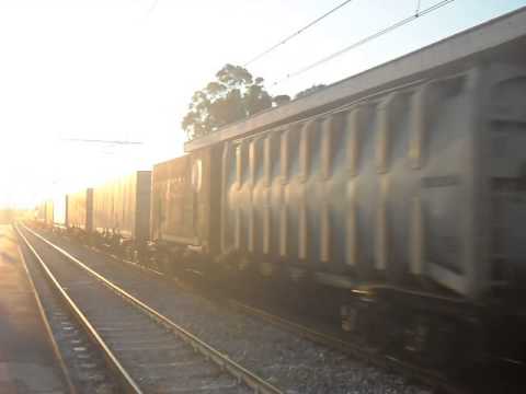 E652 149 con carri merci vari transito a Bari Santo Spirito e ci saluta