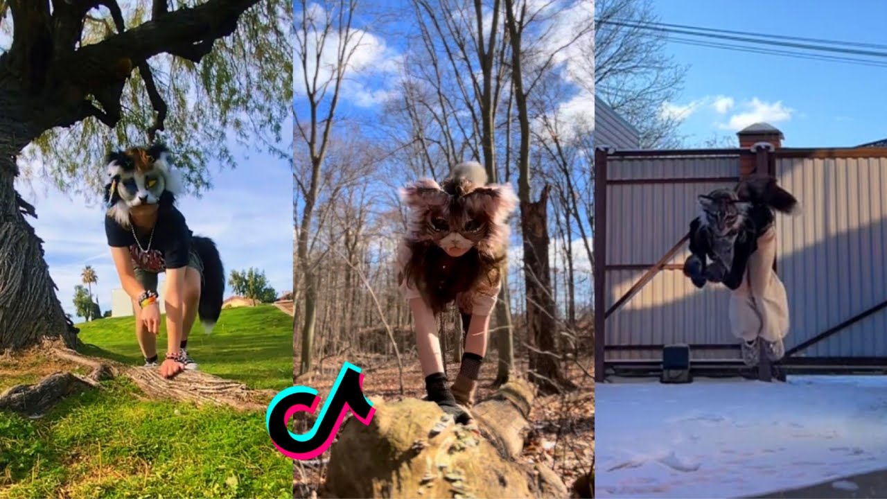 Therian TikTok Compilation #16😻
