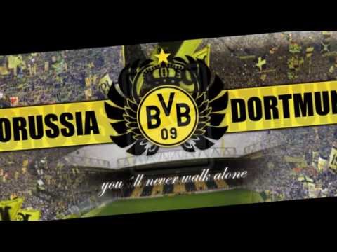 M.I.K.I. & Reece feat. Jo Marie ( edited and created by SvEnergy ) BVB 09