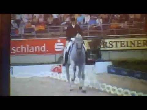 hip hop dressage to no mo by red astaire