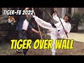 Wu Tang Collection Tiger Over Wall