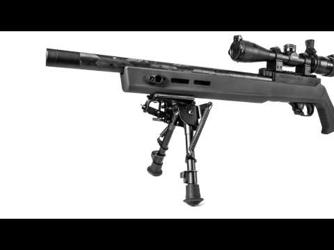 Ruger 10/22 with a Magpul Hunter X22 Review