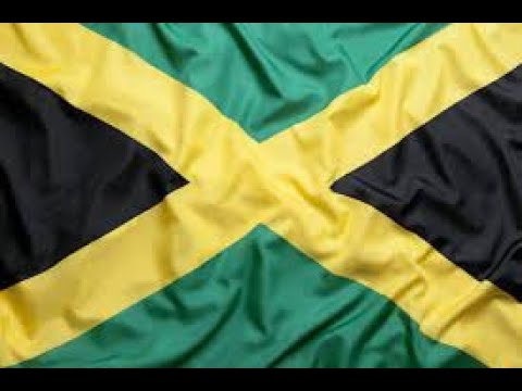 Lloyd-D-Stiff - Gun Pon Cok