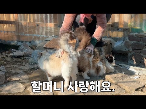 할머니의 사랑에 속상한 마음이 살살 녹아내려요.