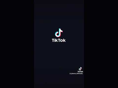 smarta katter väljer pussi