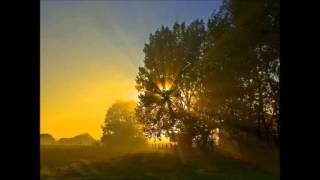 James Holden - Live @ Pixel, Club 11 Amsterdam 22. Nov. 2007