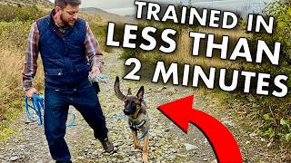 Train STAY While Out of Sight in 1min 26sec.
