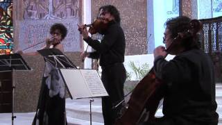 1. J. Haydn. Introducción. Cuarteto Assai. Assai String Quartet.