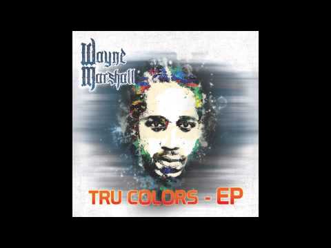Stupid Money - Wayne Marshall (ft. Assassin) (Official Audio)