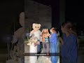 Birthday Party Chahat Punjabi Status Whatsapp Status Video Urs Chahat13 Shorts Diamondpunjab
