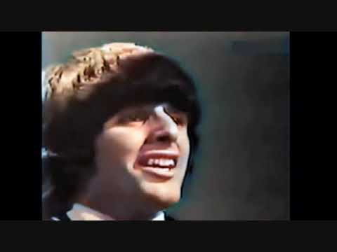 Just A Little -  Beau Brummels