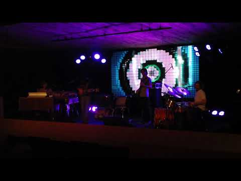 Everybody Knows and Astral Turtle Dance by The Jauntee