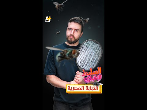 Yemeni Windows Media