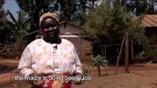 preview picture of video 'Ruth Marigu Njue - Karurumo village -- Kenya'