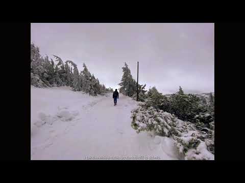 enxsp - samotność to dzi*ka (lonely/J.Bieber)