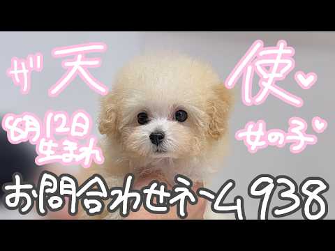 YouTube動画のサムネイル
