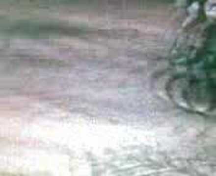 ellesmere port motocross 2