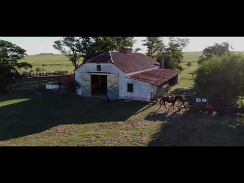 Estancia en VENTA en URUGUAY con costa al Río Negro