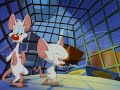 Animaniacs Intro Russian 2014 Pinky And The Brain V1