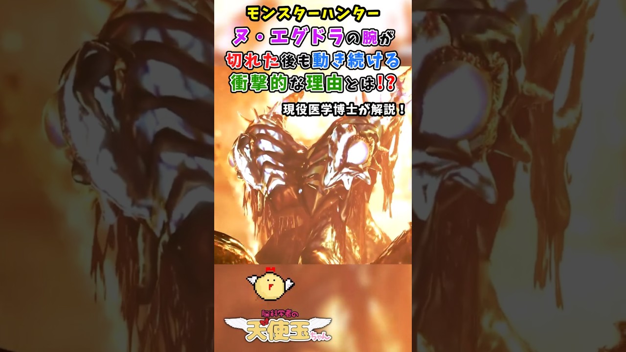 【モンハンワイルズ】ヌエグドラの腕が切れた後も動く衝撃の理由とは！？現役科学者が解説！ #モンハンワイルズ #モンスターハンターワイルズ #shorts #天使玉ちゃん