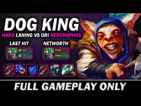 DOG KING (china spammer) Hard Lane Against Ori Necrophos - Full Gameplay Meepo #401