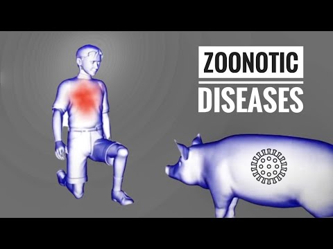 How Do Viruses Jump From Infecting Animals to Humans | Zoonotic Diseases
