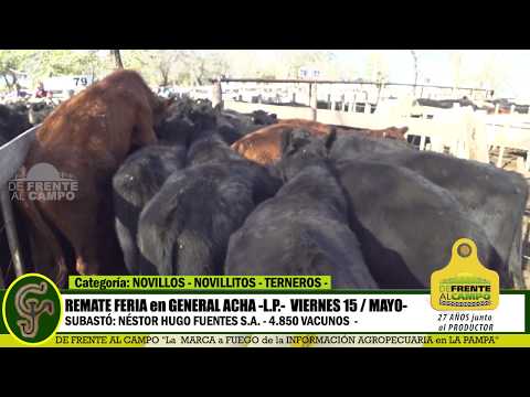 DE FRENTE AL CAMPO junto al SECTOR PRODUCTIVO - REMATE NHF S.A. -15/MAYO- GRAL. ACHA - PARTE 3-