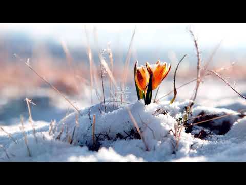 COLDHART & HORSE HEAD – THE WORLD IS F***IN ENDING