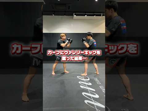 カーフにヴァレリーキックを蹴った結果…見た目以上に、これが痛い。 #格闘技 #キックボクシング #mma #堀口恭司 #rizin #総合格闘技 #kickboxing