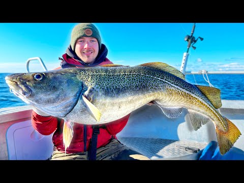 WIR FANGEN RIESIGE KABELJAU | Team Galant