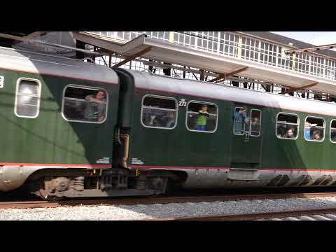 Muizeneus en Hondekop tijdens Open Monumentendag 2024 C0410