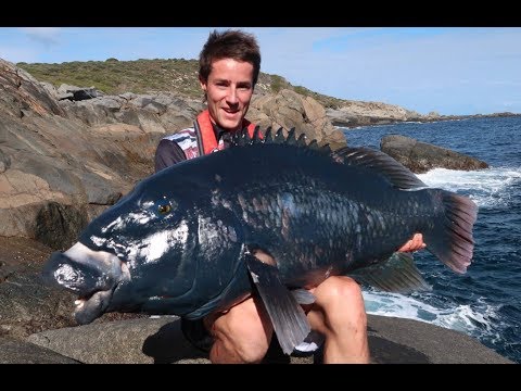Fishing for big Western Blue Groper | How we set up and target them