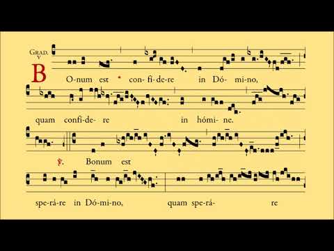 DOMINICA XIV POST PENTECOSTEN