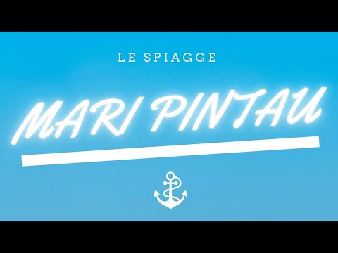 ✵ Cool Caddish | Steve Hem - Mari Pintau ✵Prod. Ilgu✵(DEMO VERSION)✵