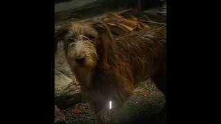 Download lagu 'BE KIND'-dr strange edit | Doctor Strange Deleted Scene | Famy - Ava (SLOWED   REVERB) #shorts mp3