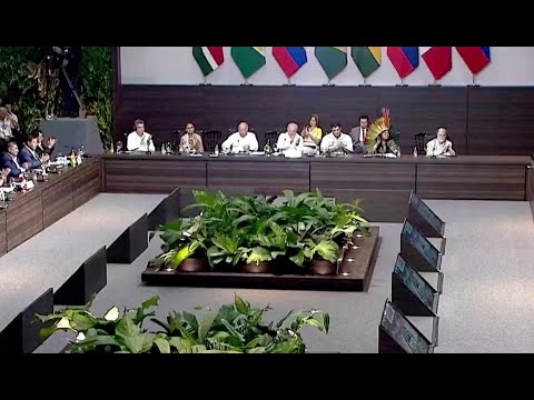 Scientist Carlos Nobre on Amazon Summit