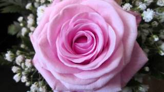 SHARAM JEY 4 da loverz ( Original dub ).wmv