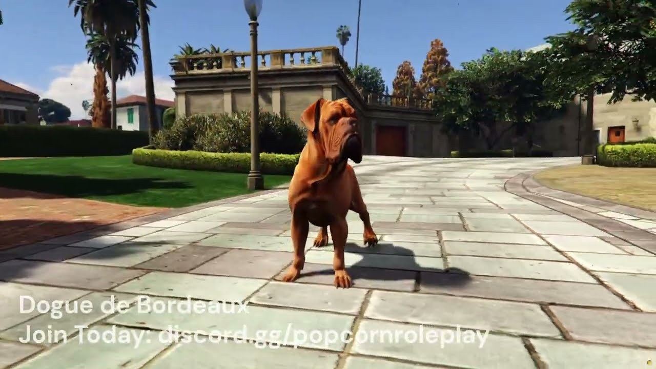Dogue De Bordeaux - Addon Dog Ped thumbnail 2