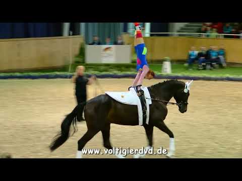 Lisa-Marie Gerritzen - Damen 20 - DJM Voltigieren Aachen 2017