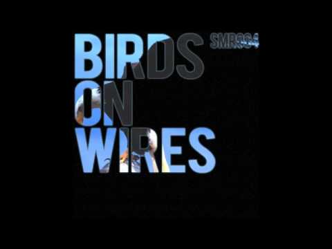 Apollo feat. Soulsa - Birds on Wires (Jannik Valerius Remix)